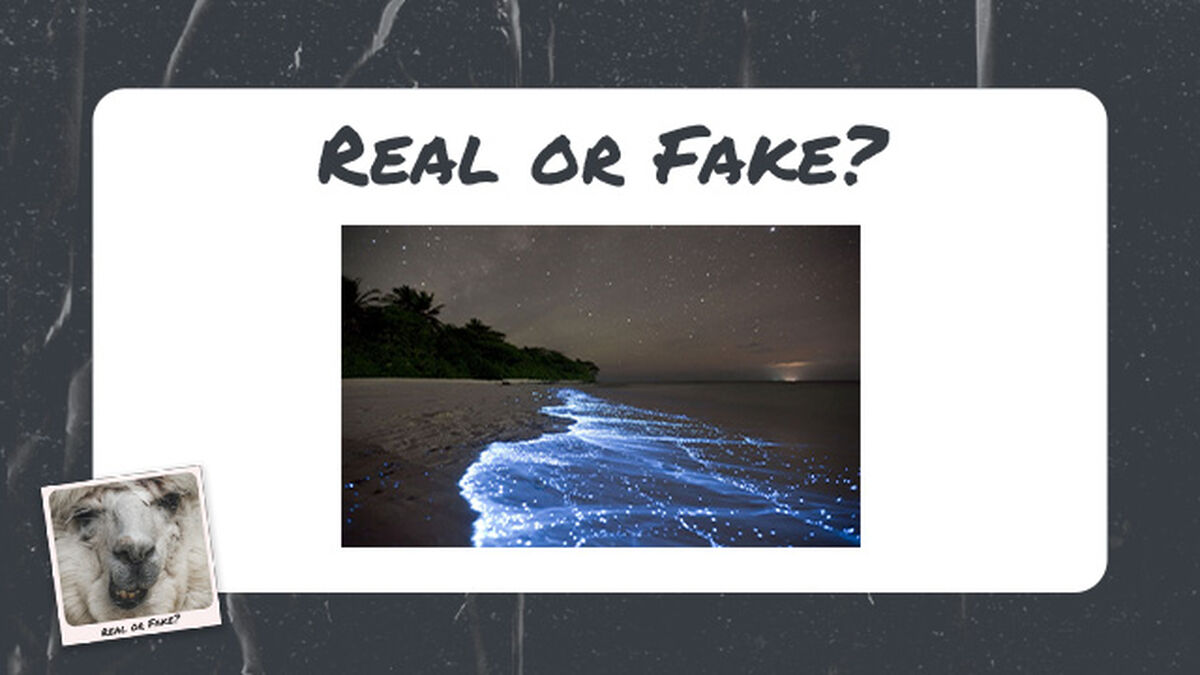 Real or Fake Volume 3 image number null